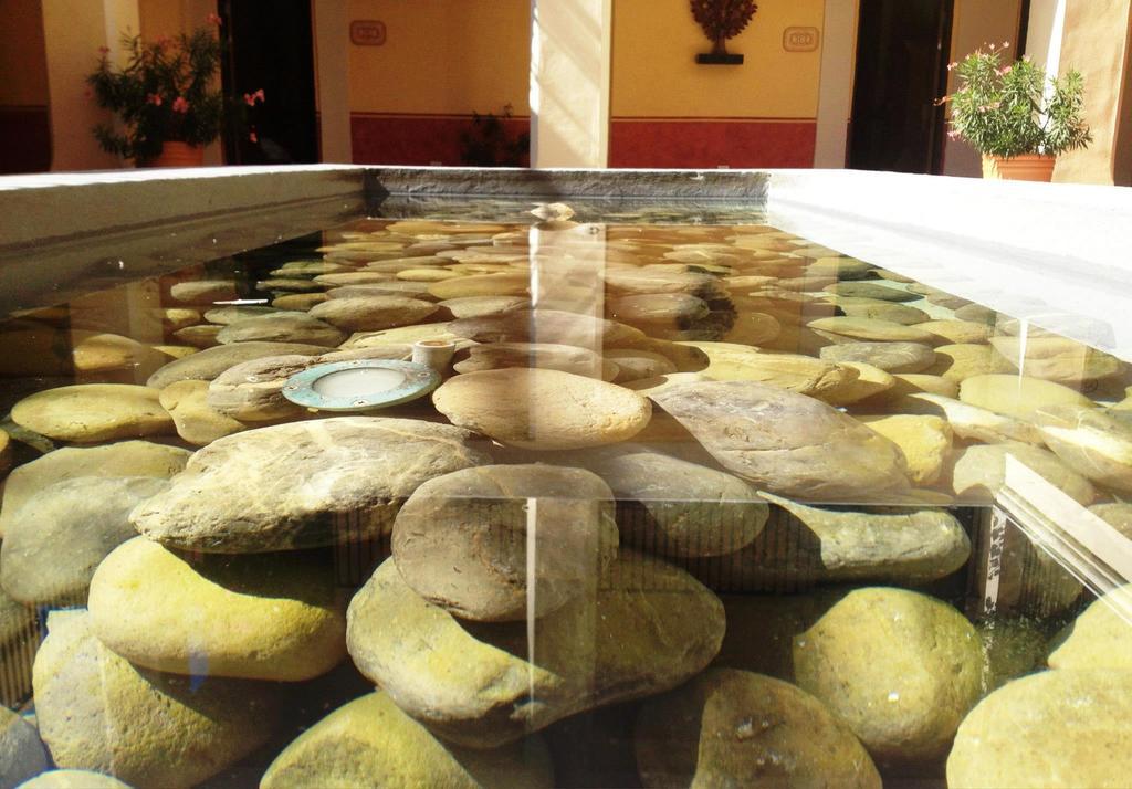 Hotel Boutique Las Palomas De Santiago Pueblo Magico المظهر الخارجي الصورة
